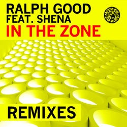 In The Zone (Remixes)