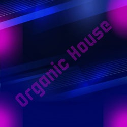 DJ INSTALLATION / AUGUST 2025 CHART