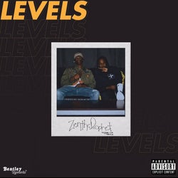 Levels