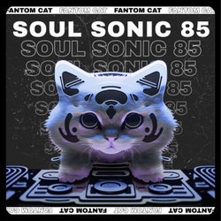 Soul Sonic 85