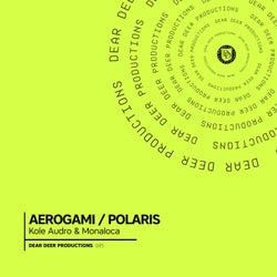 Aerogami / Polaris