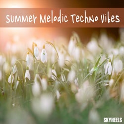 Summer Melodic Techno Vibes
