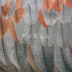 Fjell