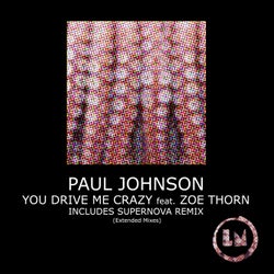 You Drive Me Crazy (Extended Mixes)