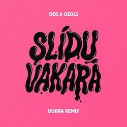 Slīdu vakarā (feat. Ozols & Ods) [Dubra remix]