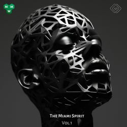 The Miami Spirit, Vol. 1