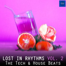 Lost in Rhythms, Vol. 2 (The Tech & House Beats)