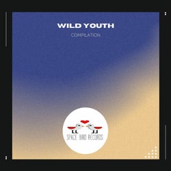 Wild Youth