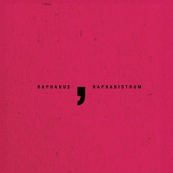 RAPHANUS RAPHANISTRUM