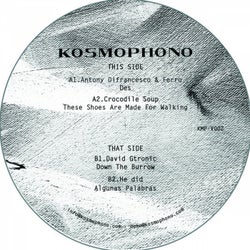 Kosmophono sampler '15