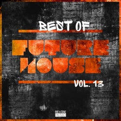 Best of Future House, Vol. 13