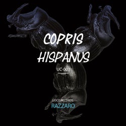 Copris Hispanus