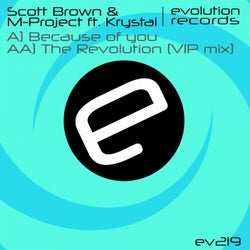 Because of You / The Revolution (VIP Remix)