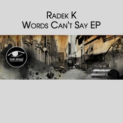 Words Can't Say EP