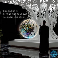 Beyond the Shadows