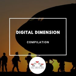 Digital Dimension