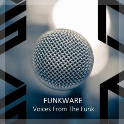 Voices From The Funk
