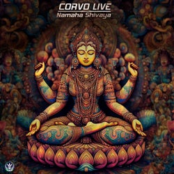 Namaha Shivaya