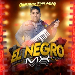 Cumbias Poblanas, Vol. 2