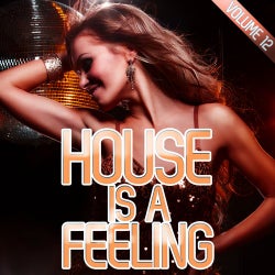 House Is A Feeling Vol. 12