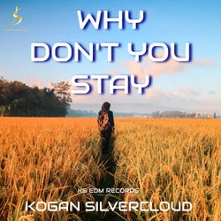 Why Don't You Stay (Radio Edit)