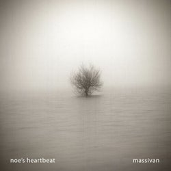 Noe's Heartbeat