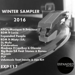 Winter Sampler 2016