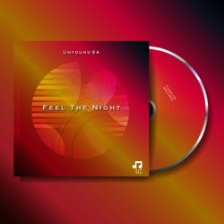 Feel The Night