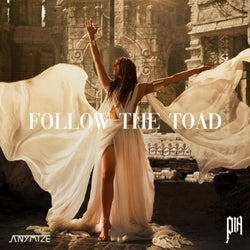 Follow The Toad