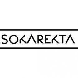 Sokarekta's Top 10 Chart