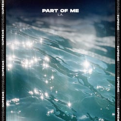 Part of Me (Extended Mix)