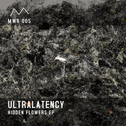 Hidden Flowers EP
