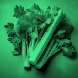 Green Celery Chart