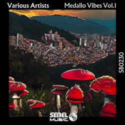 Medallo Vibes Vol.1