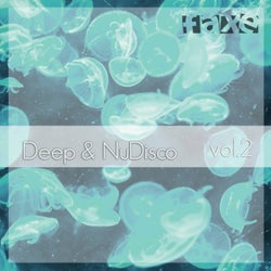 Deep & NuDisco, Vol. 2
