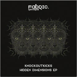Hidden Dimensions EP