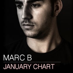 January Expense Chart by Marc B