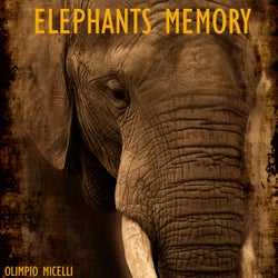 Elephants Memory