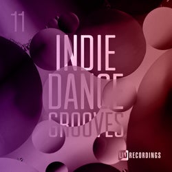 Indie Dance Grooves, Vol. 11