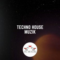 " Techno & House " Various Artists " 03