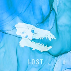 Lost