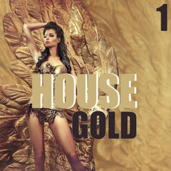House Gold, Volume 1