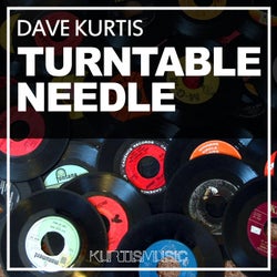 Turntable Needle