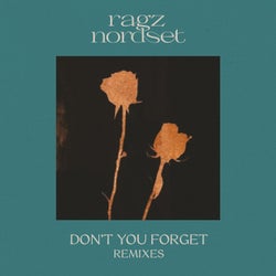 Don't You Forget - Remixes