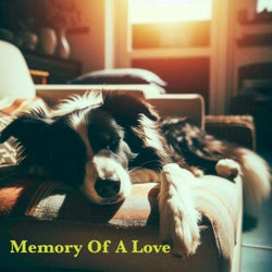 Memory of a Love