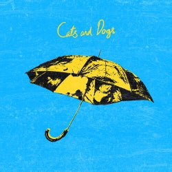 Cats & Dogs