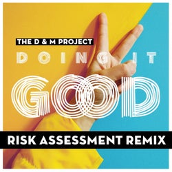 Doing It Good (Risk Assessment Remix)