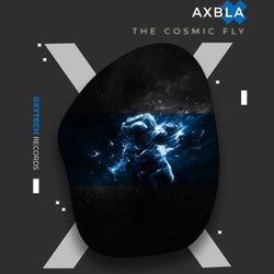 The Cosmic Fly