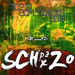 Schxzo Top 10 EDM Tracks 2014