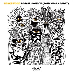 Primal Source (TouchTalk Remix)